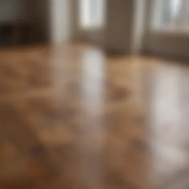 A pristine wood floor reflecting sunlight, symbolizing proper maintenance