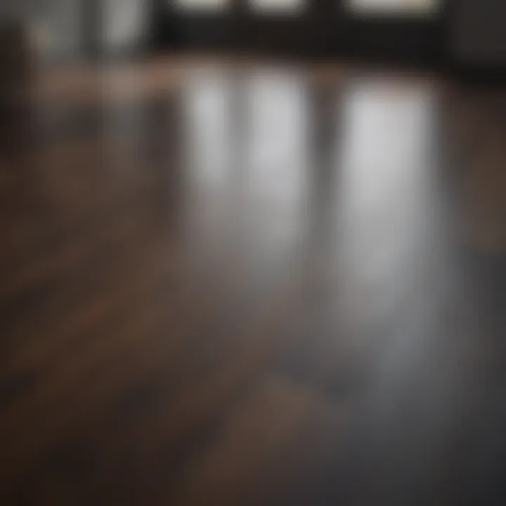 A well-maintained dark laminate floor reflecting natural light