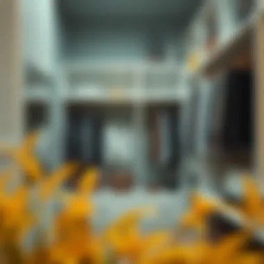 Functional storage solutions with hidden compartments