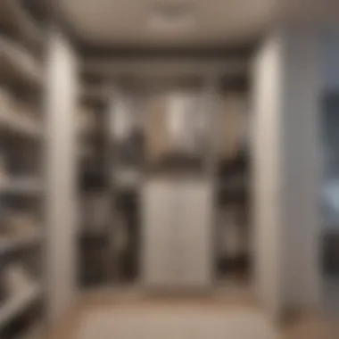 Vertical Storage Maximizing Closet Space Organized closet space utilizing vertical storage techniques