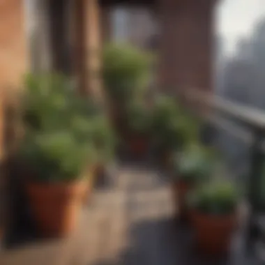 Diverse Potted Plants on an Apartment Balcony A cozy apartment balcony filled with diverse potted plants