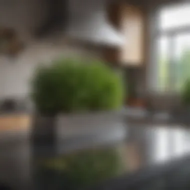Indoor Herb Garden in a Modern Kitchen Stylish indoor herb garden on a kitchen countertop