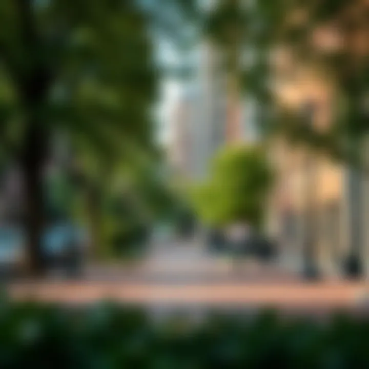 Cultural attractions and parks in the neighborhood surrounding M Street