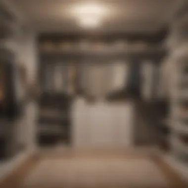 Before and After Closet Transformation Before and after transformation of a small closet space.