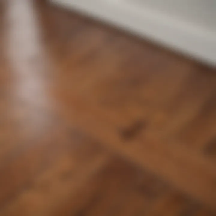 Close-up of stained hardwood floor showing various types of marks