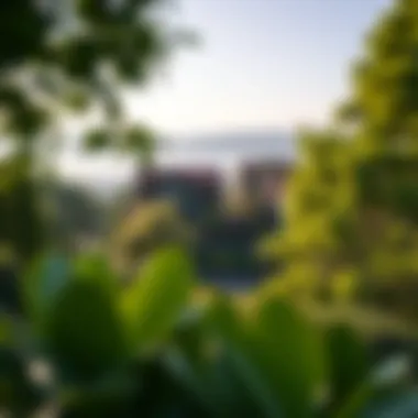 Lush Green Landscapes Lush green surroundings of Mission Bay Apartments