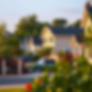 Choosing the Right Location for Your New Life A peaceful neighborhood scene with homes