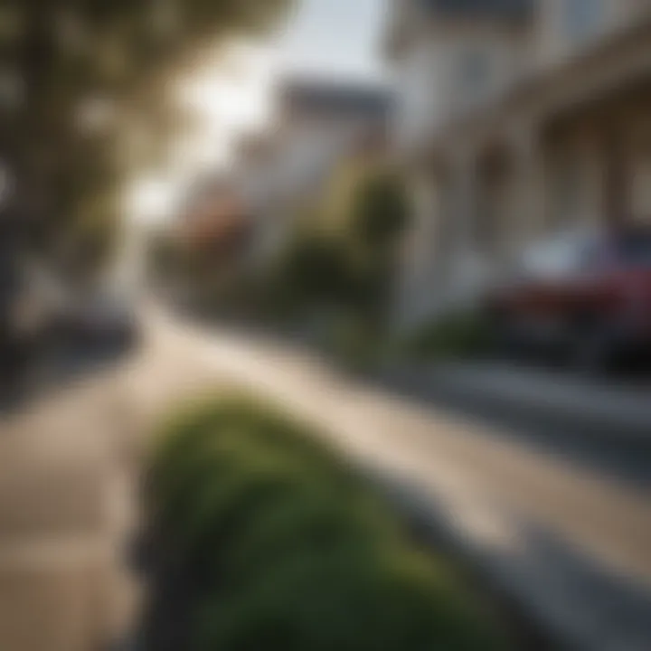 Charming residential street in Outer Richmond
