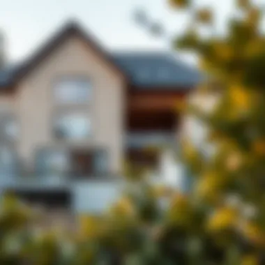 Effective Strategies for Property Search Visual representation of property search strategies