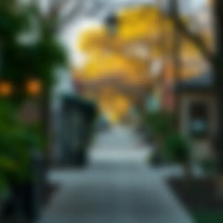 Local attractions in a bustling Dallas neighborhood