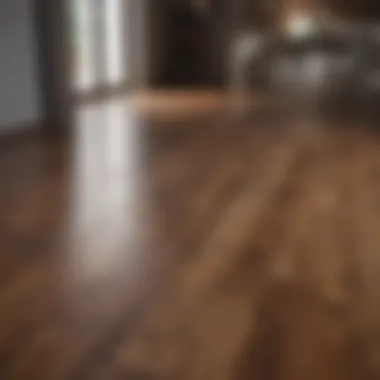 The Radiance of Polished Laminate Shiny laminate wood floor after polishing