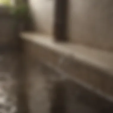 Best practices for maintaining a healthy drainage system