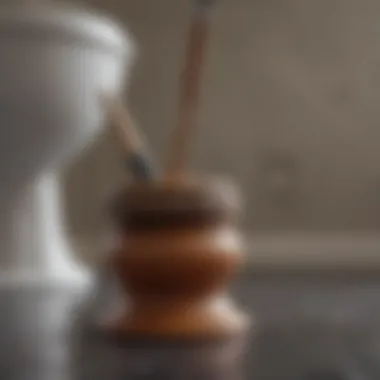 Plunger Mastery for Toilet Blockages Plunger tool demonstrating effective toilet unclogging technique