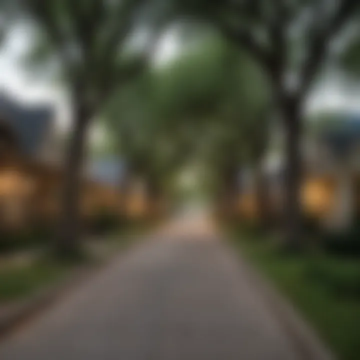 Charming neighborhood street in Dallas lined with trees