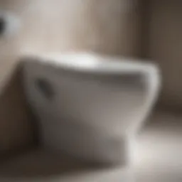 Close-up of a toilet bowl with minimal water