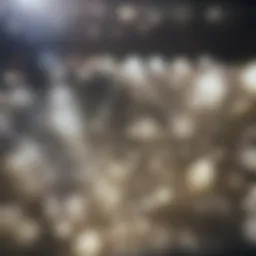 Comparison of Renting and Leasing