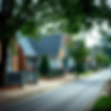 A well-maintained residential block in a low-crime area of Philadelphia