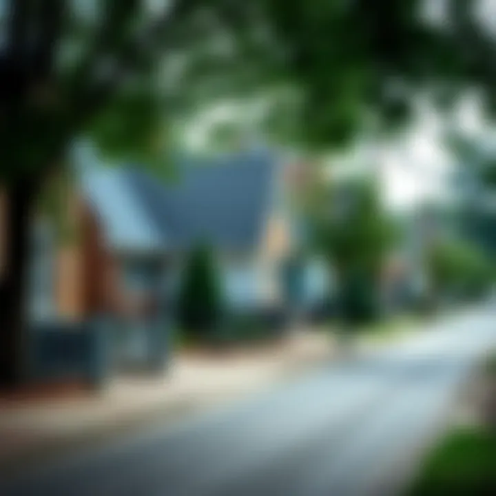 A well-maintained residential block in a low-crime area of Philadelphia