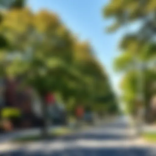 A picturesque street in a safe Philadelphia neighborhood showcasing tree-lined avenues