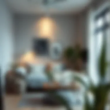 Aesthetic arrangement of decor in a well-maintained studio