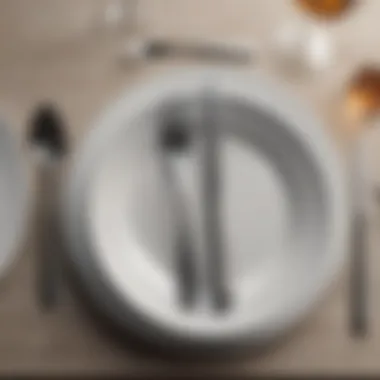 Cutlery and Dinnerware Arrangement Close-up of well-arranged cutlery and dinnerware