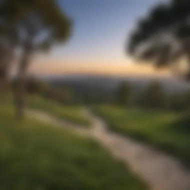 Serene Griffith Park with City Views A serene park in Griffith Park with city views and lush greenery