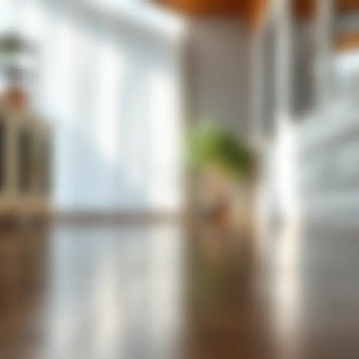 Clean and Shiny Laminate Surface Shining laminate floor after cleaning