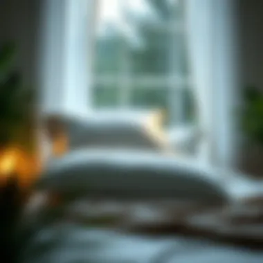The Most Effective Methods for Cleaning Down Pillows Summary The Most Effective Methods for Cleaning Down Pillows Summary