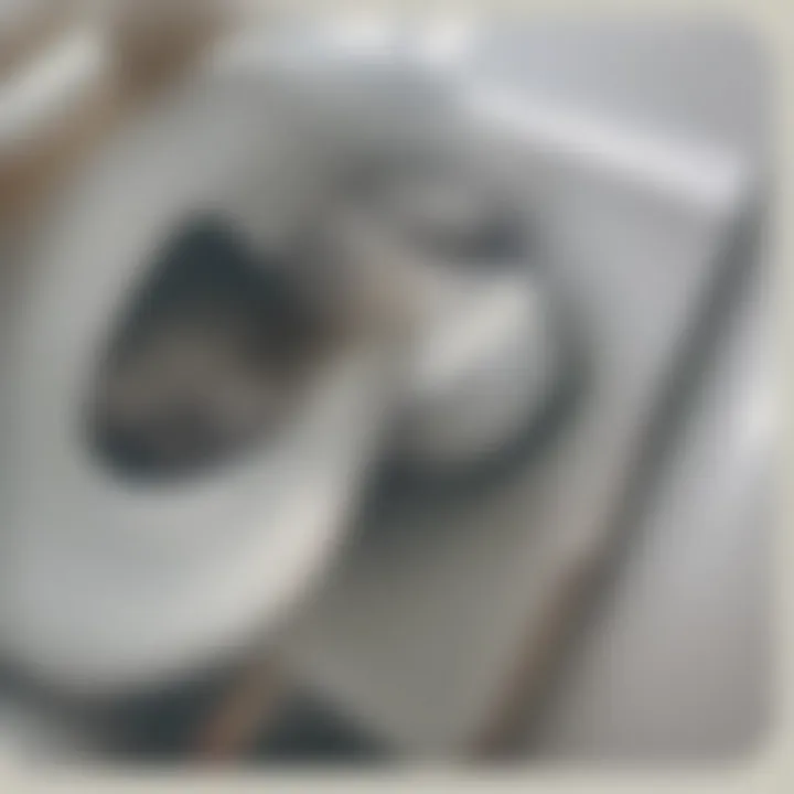 Regulatory guidelines for using snakes in toilets
