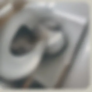 Regulatory Guidelines for Snake Usage in Toilet Infrastructure Regulatory guidelines for using snakes in toilets