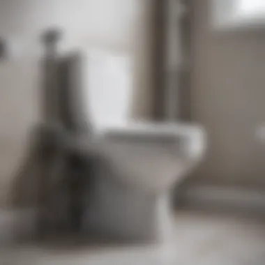 Toilet Plumbing Mechanisms Diagram illustrating toilet plumbing mechanisms
