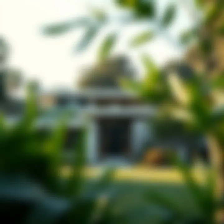 A stunning exterior view of a Mid-Century Modern home emphasizing integration with nature