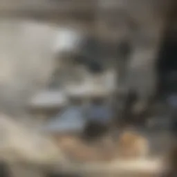 Understanding Multi-Family Units: A Comprehensive Overview Introduction