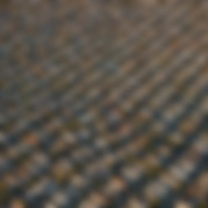 An aerial view of Los Angeles showcasing diverse neighborhoods
