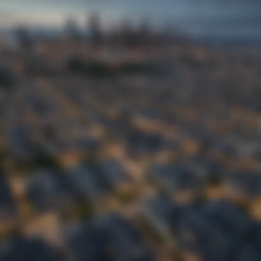 Aerial view of Seattle skyline showcasing residential areas