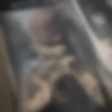 Detailed view of a snake declogger showcasing its coiled design