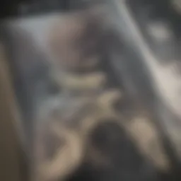 Detailed view of a snake declogger showcasing its coiled design