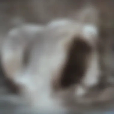 Illustration of a snake declogger in action unclogging a drain