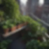 Lush urban vegetable garden thriving on a balcony