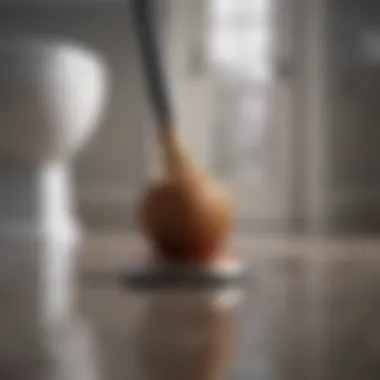 Materials Needed for Unblocking Essential materials for unblocking toilets with a plunger