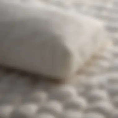 Close-up of Mattress Fibers After Cleaning Detailed view of mattress fibers post cleaning