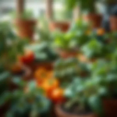 A Vibrant Array of Pot-Grown Vegetables Vibrant array of pot-grown vegetables