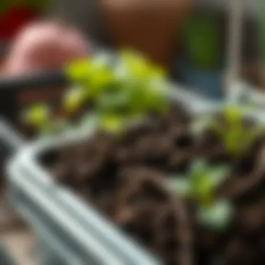 Close-Up of Rich Soil in a Container Close-up of rich soil in a container