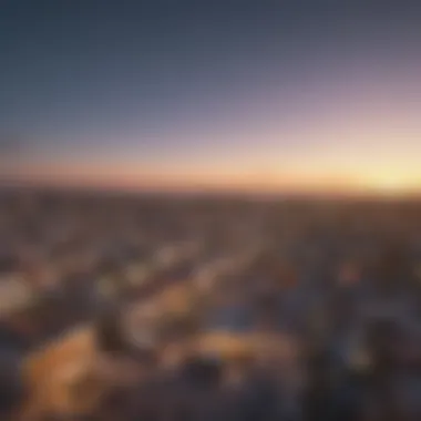 Aerial view of Venice Beach highlighting its vibrant atmosphere