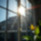 A sparkling clean window reflecting sunlight